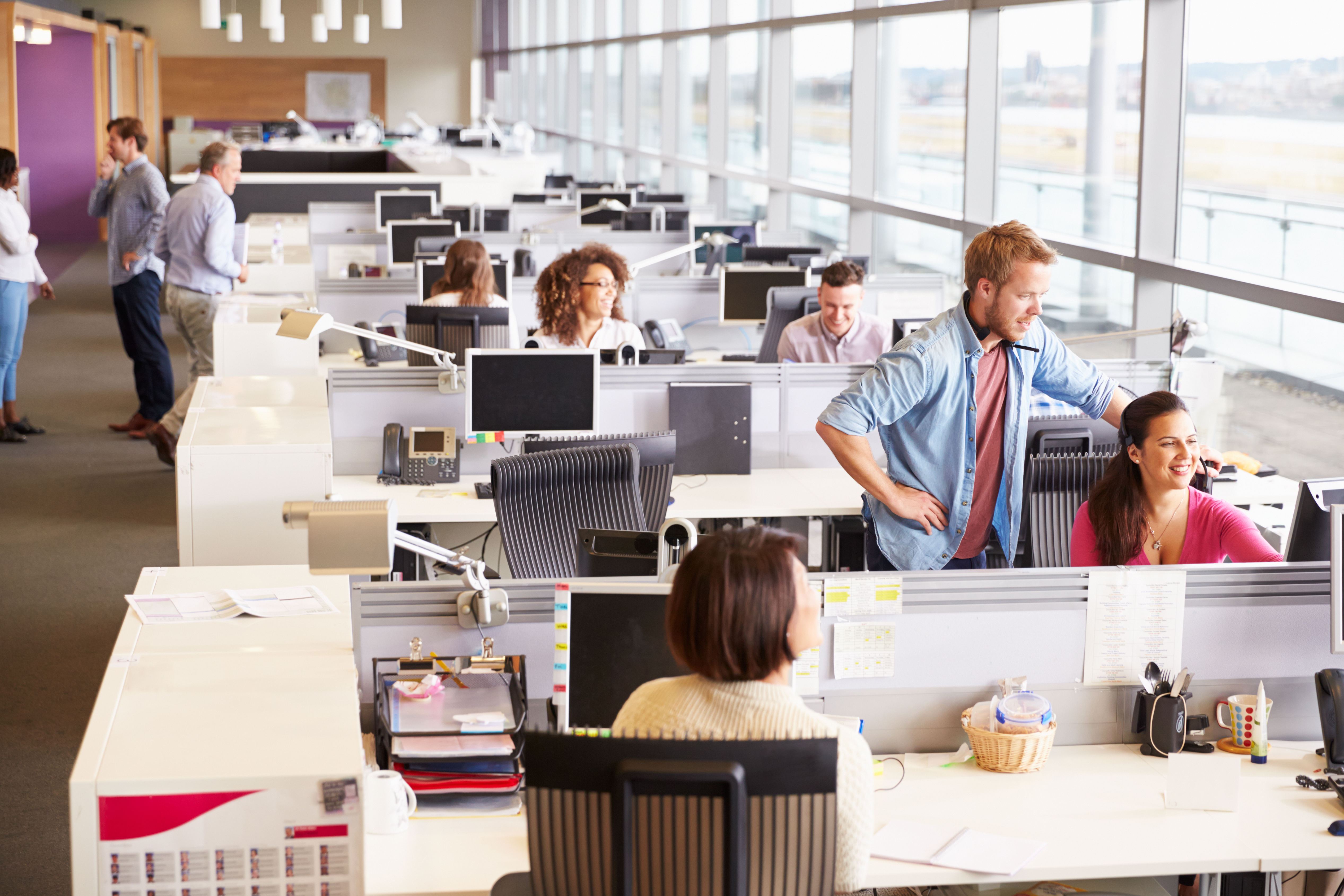 workers at rows of desks